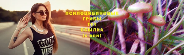 наркотики Арсеньев
